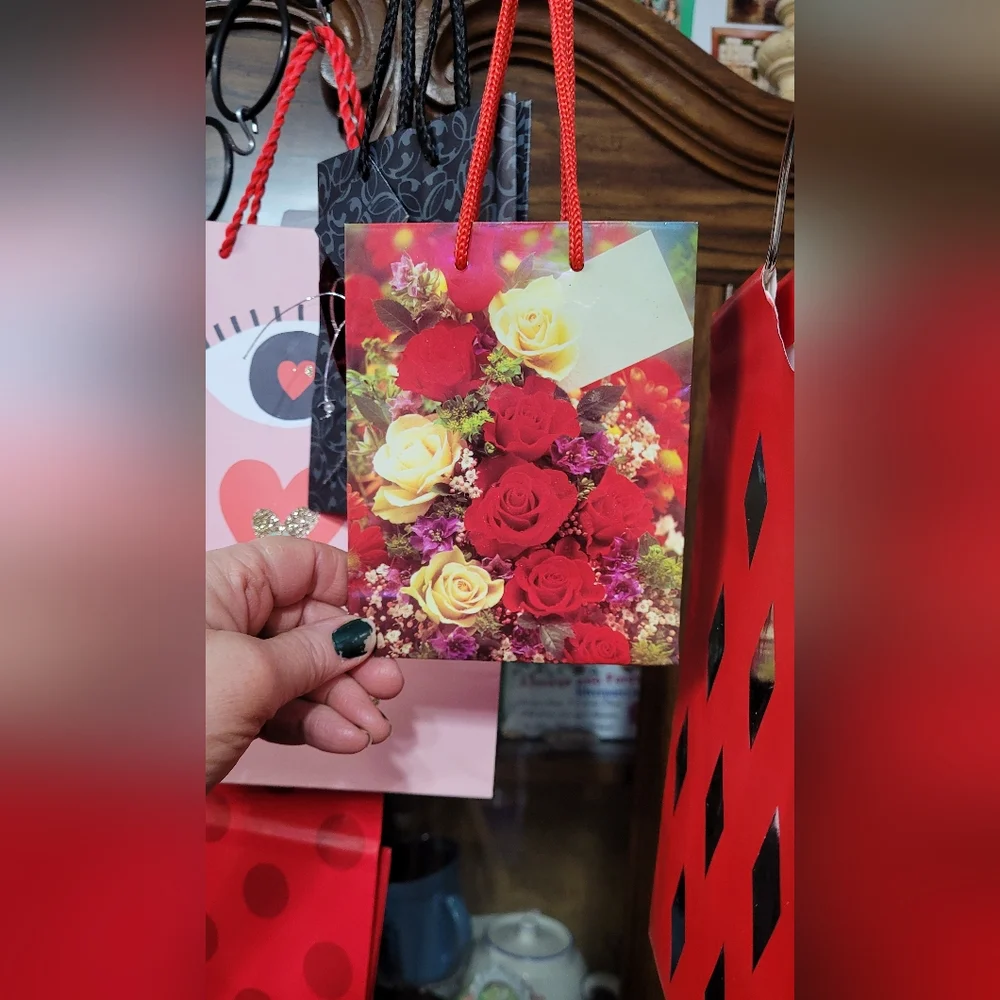 Set of Red and Pink Gift Bags